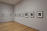 Photography Rotation 8. May 13, 2011–Mar 12, 2012. 2 other works identified