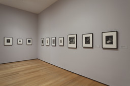 Installation photo, 6 of 34