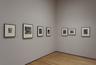 Photography Rotation 8. May 13, 2011–Mar 12, 2012.
