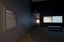 Installation photo, 8 of 13