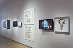 Installation photo, 46 of 49