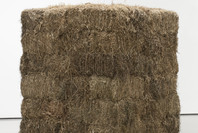 Contemporary Art from the Collection. Jun 30, 2010–Sep 19, 2011.