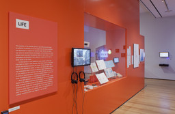 Installation photo, 19 of 49