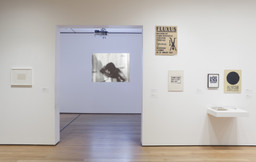 Installation photo, 21 of 24