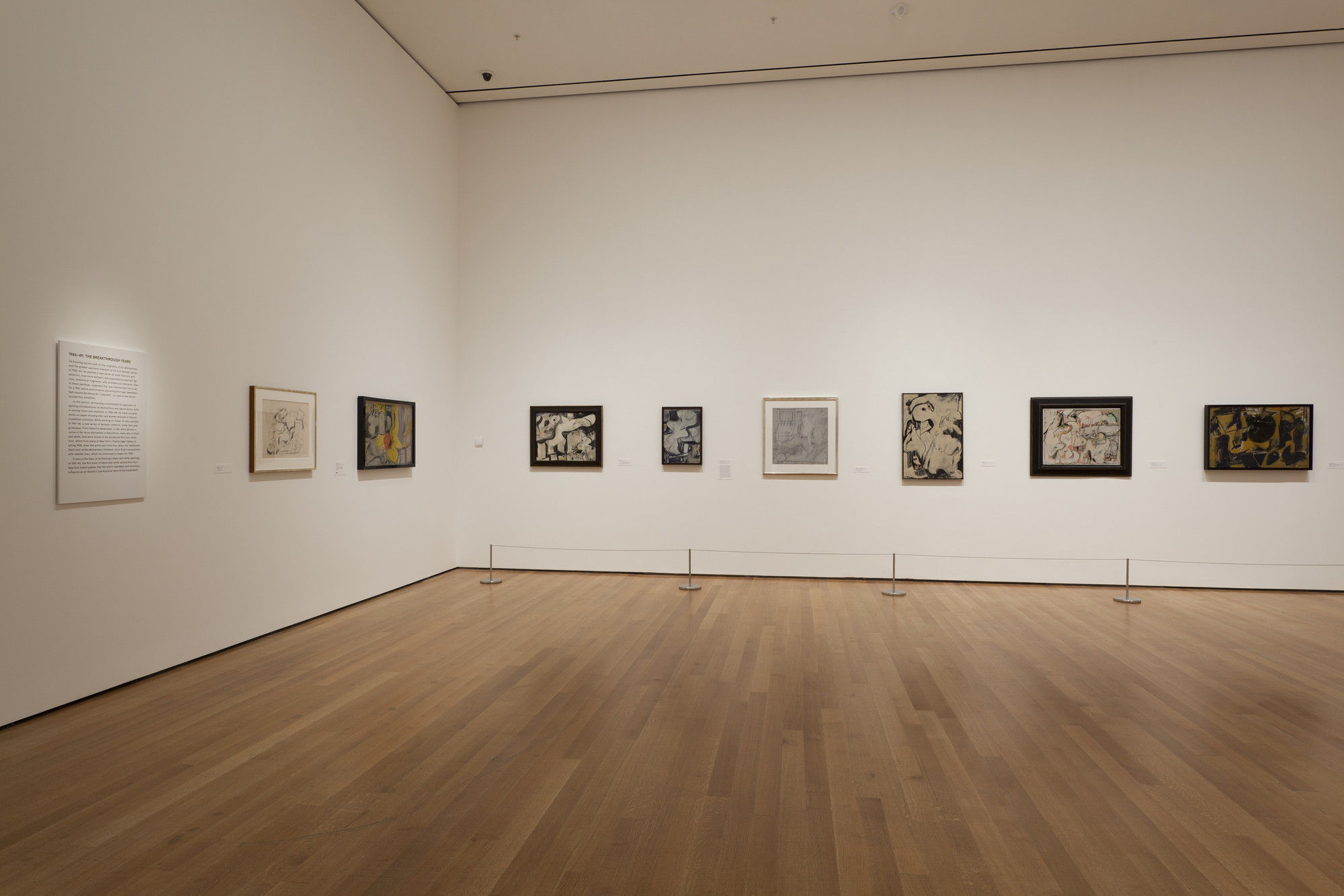 Installation view of the exhibition, "de Kooning A