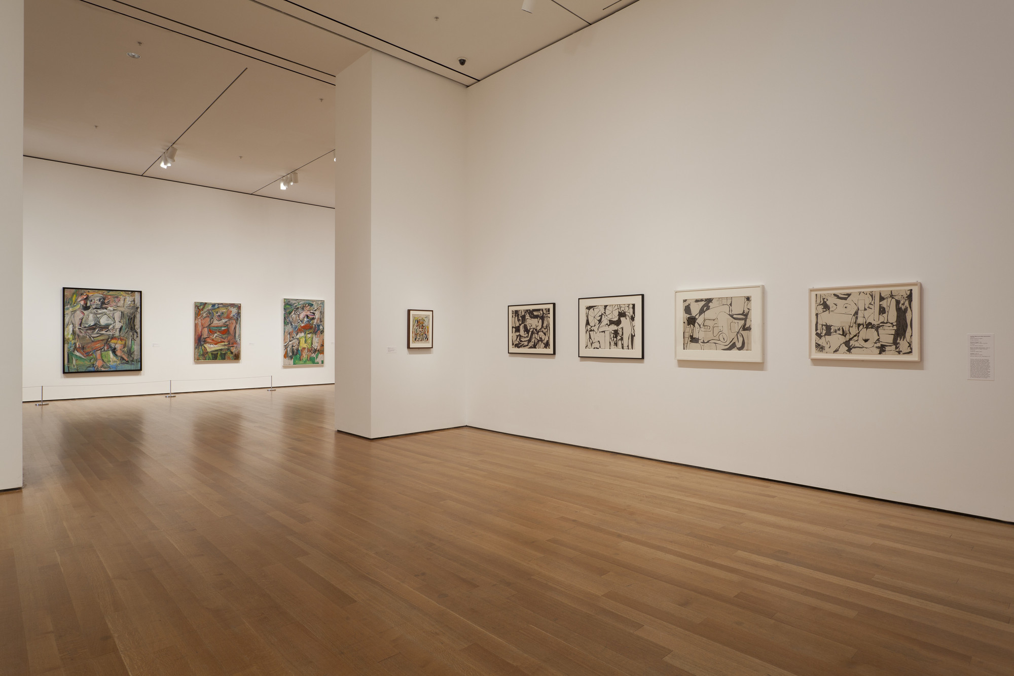 Installation view of the exhibition, "de Kooning A