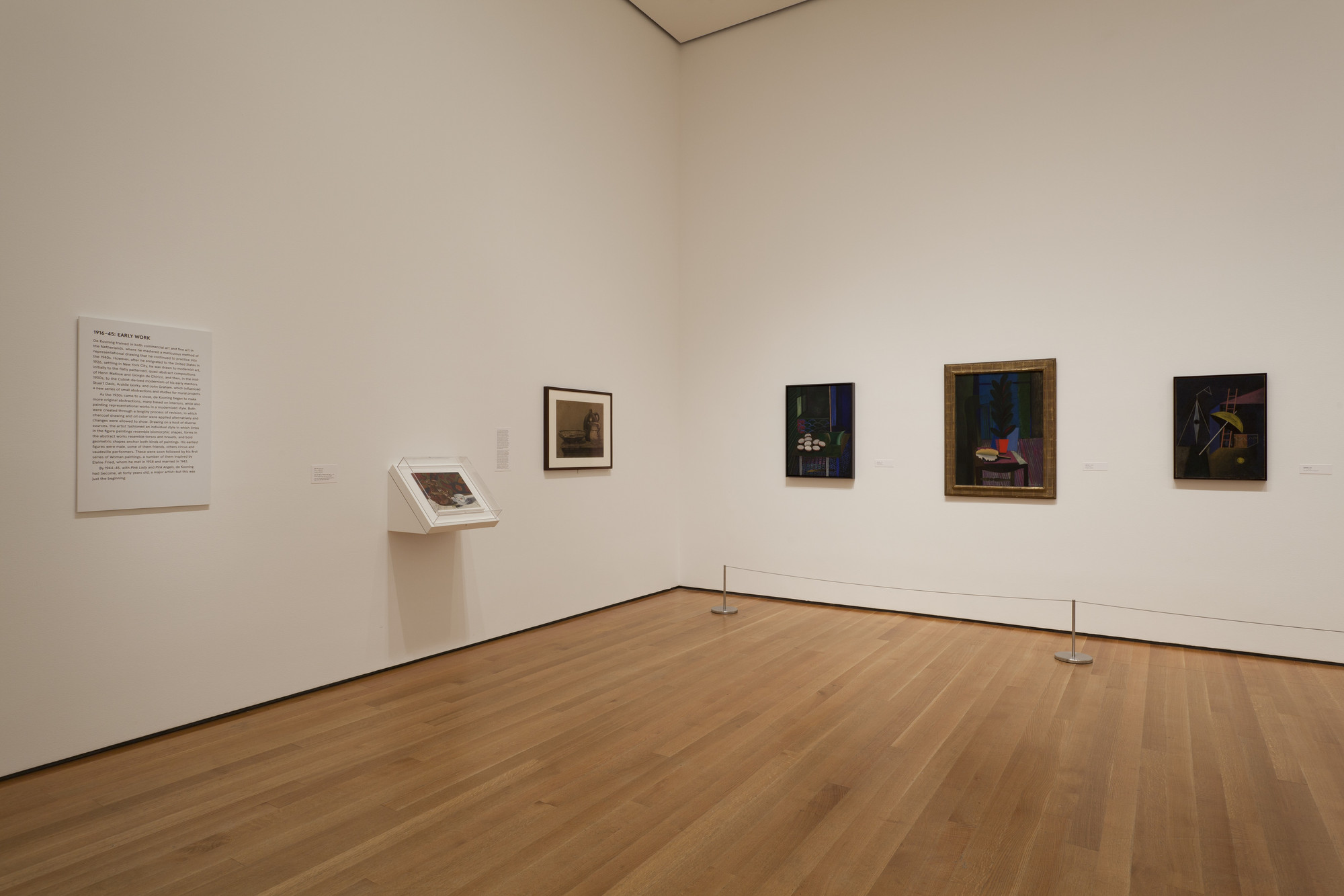 Installation view of the exhibition, "de Kooning A
