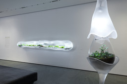 Installation photo, 4 of 5