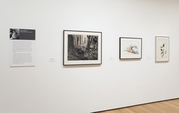 Installation photo, 7 of 20