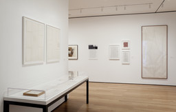 Installation photo, 19 of 20