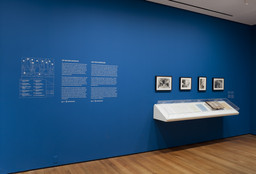Installation photo, 19 of 21