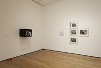 Sanja Iveković: Sweet Violence. Dec 18, 2011–Mar 26, 2012.