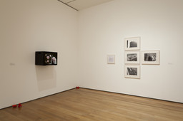 Installation photo, 25 of 40