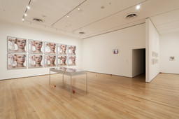 Installation photo, 34 of 40