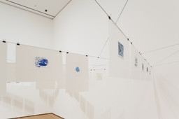 Installation photo, 18 of 39