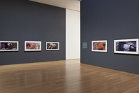 Cindy Sherman. Feb 26–Jun 11, 2012.