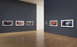 Installation photo, 20 of 45