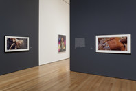 Cindy Sherman. Feb 26–Jun 11, 2012.