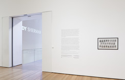 Installation photo, 6 of 45