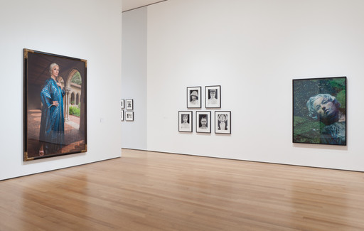 Cindy Sherman. Untitled #466. 2008 | MoMA