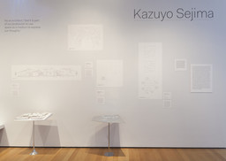 A Japanese Constellation: Toyo Ito, SANAA, and Beyond | MoMA