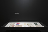 Marcel Broodthaers: A Retrospective. Feb 14–May 15, 2016. 1 other work identified