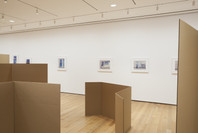 Rachel Harrison: Perth Amboy. Mar 19–Sep 5, 2016.