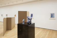 Rachel Harrison: Perth Amboy. Mar 19–Sep 5, 2016.