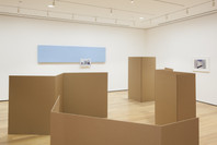 Rachel Harrison: Perth Amboy. Mar 19–Sep 5, 2016.