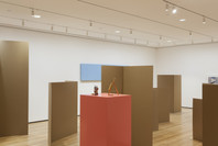 Rachel Harrison: Perth Amboy. Mar 19–Sep 5, 2016.