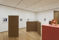 Rachel Harrison: Perth Amboy. Mar 19–Sep 5, 2016.