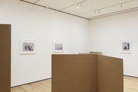 Rachel Harrison: Perth Amboy. Mar 19–Sep 5, 2016.
