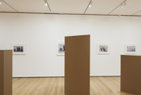 Rachel Harrison: Perth Amboy. Mar 19–Sep 5, 2016.