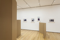 Rachel Harrison: Perth Amboy. Mar 19–Sep 5, 2016.