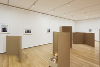 Rachel Harrison: Perth Amboy. Mar 19–Sep 5, 2016.