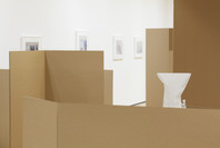 Rachel Harrison: Perth Amboy. Mar 19–Sep 5, 2016.