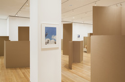 Installation photo, 38 of 63