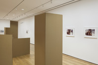 Rachel Harrison: Perth Amboy. Mar 19–Sep 5, 2016.