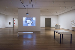 Installation photo, 105 of 119