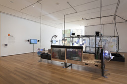 Installation photo, 1 of 16