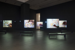 Installation photo, 4 of 12