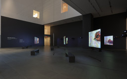 Installation photo, 6 of 12