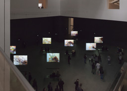 Installation photo, 9 of 12
