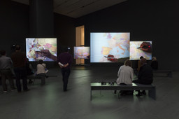 Installation photo, 12 of 12