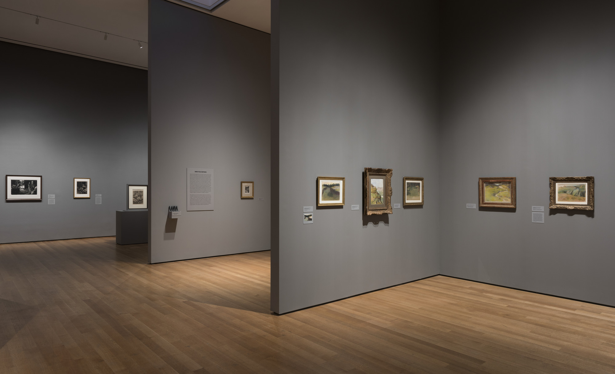 Installation view of the exhibition "Edgar Degas A Strange New Beauty