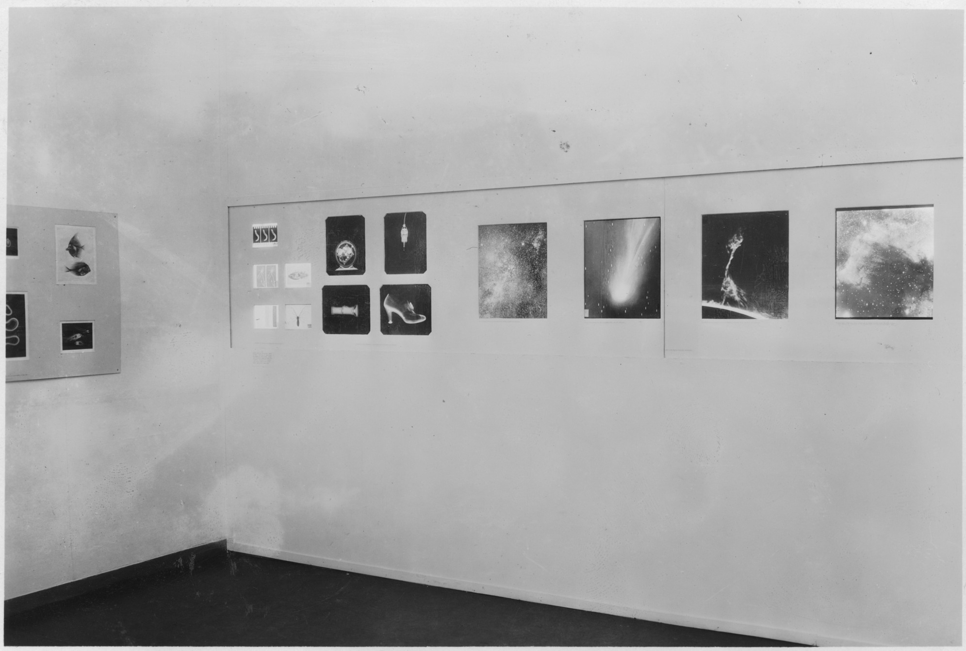 photography-1839-1937-moma