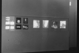 The Museum of Modern Art Archives, New York
