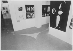 Installation photo, 36 of 73
