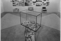Bauhaus: 1919–1928. Dec 7, 1938–Jan 30, 1939. 3 other works identified