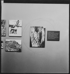 Installation photo, 20 of 60